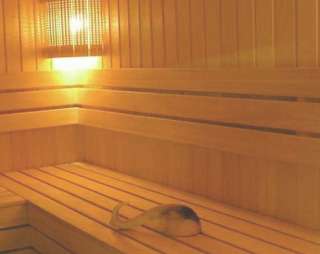 Сауна Сауна Микс в Серове